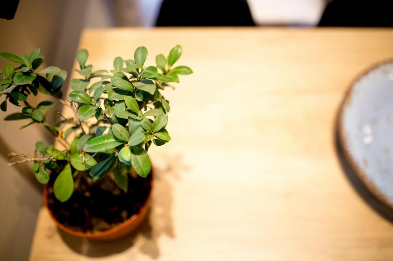 Thess Cozy Living Leilighet Thessaloníki Eksteriør bilde